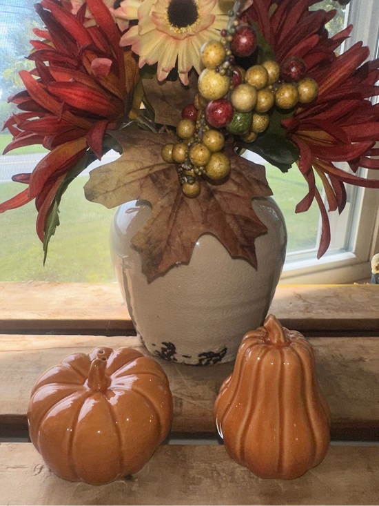 Unbranded Other - Pumpkin Salt & Pepper Shakers Glazed Ceramic Thanksgiving Fall Orange